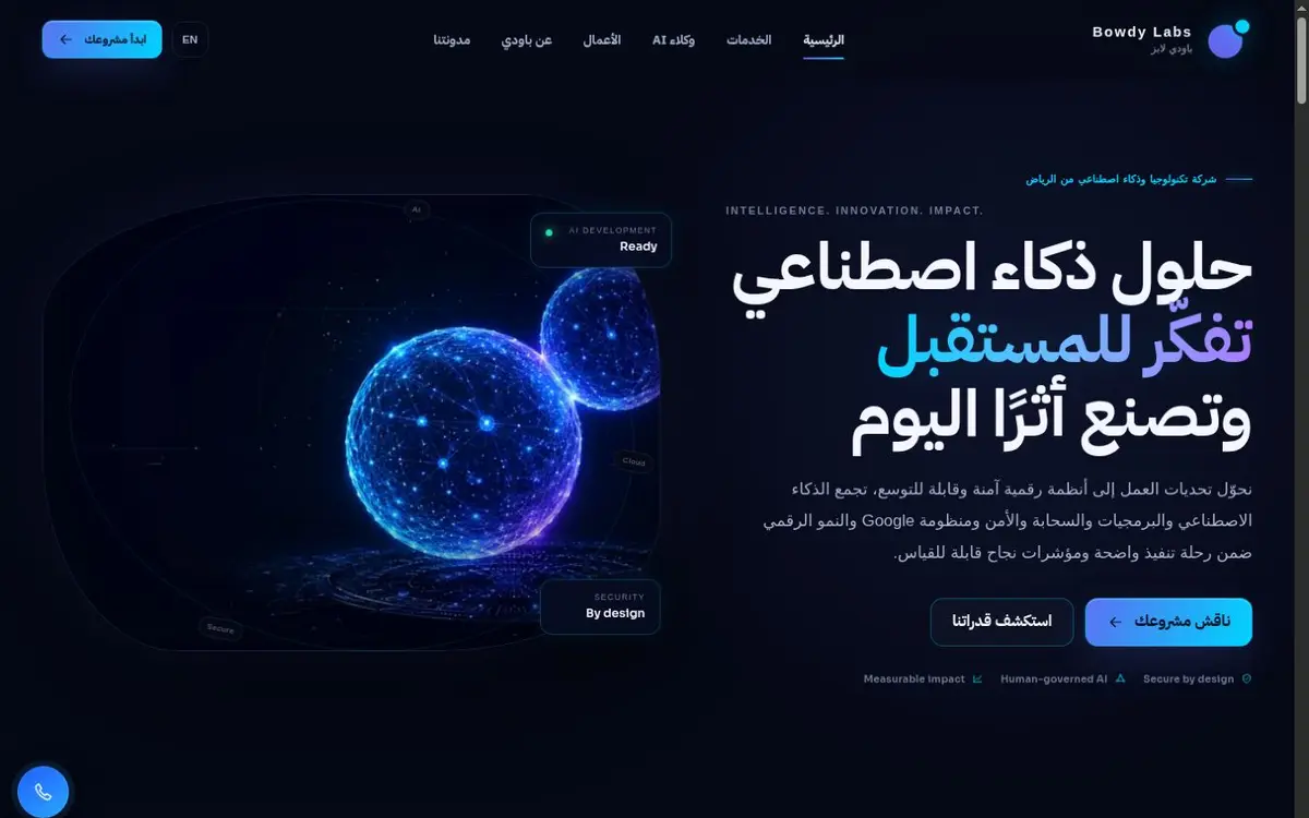 لقطة من واجهة موقع BOWDY LABS